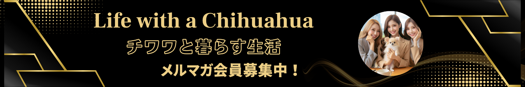 メルマガ会員簡単無料登録