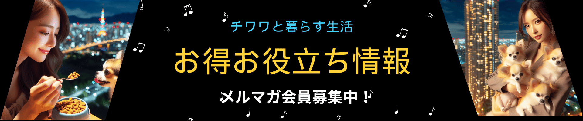 チワワお得お役立ち情報｜チワワと暮らす生活